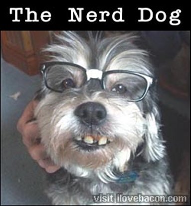 Images/nerdytoby.jpg