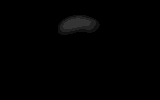 image12